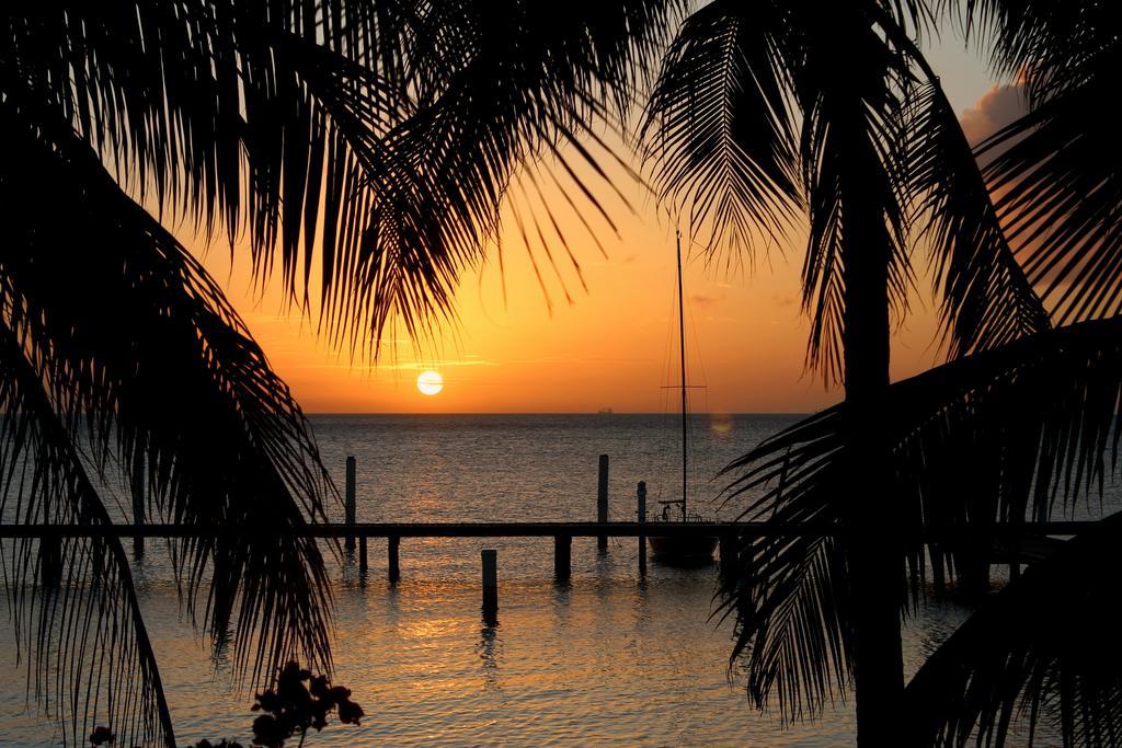 Aruba Surfside Marina Ξενοδοχείο Οράνχεσταντ Εξωτερικό φωτογραφία