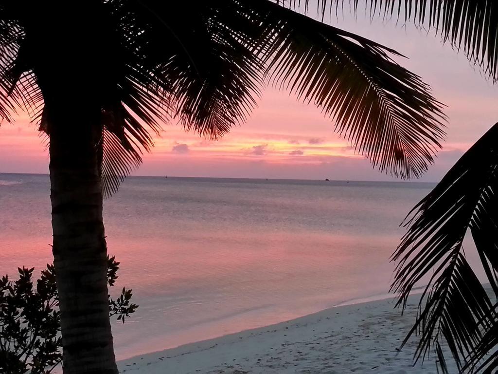 Aruba Surfside Marina Ξενοδοχείο Οράνχεσταντ Εξωτερικό φωτογραφία