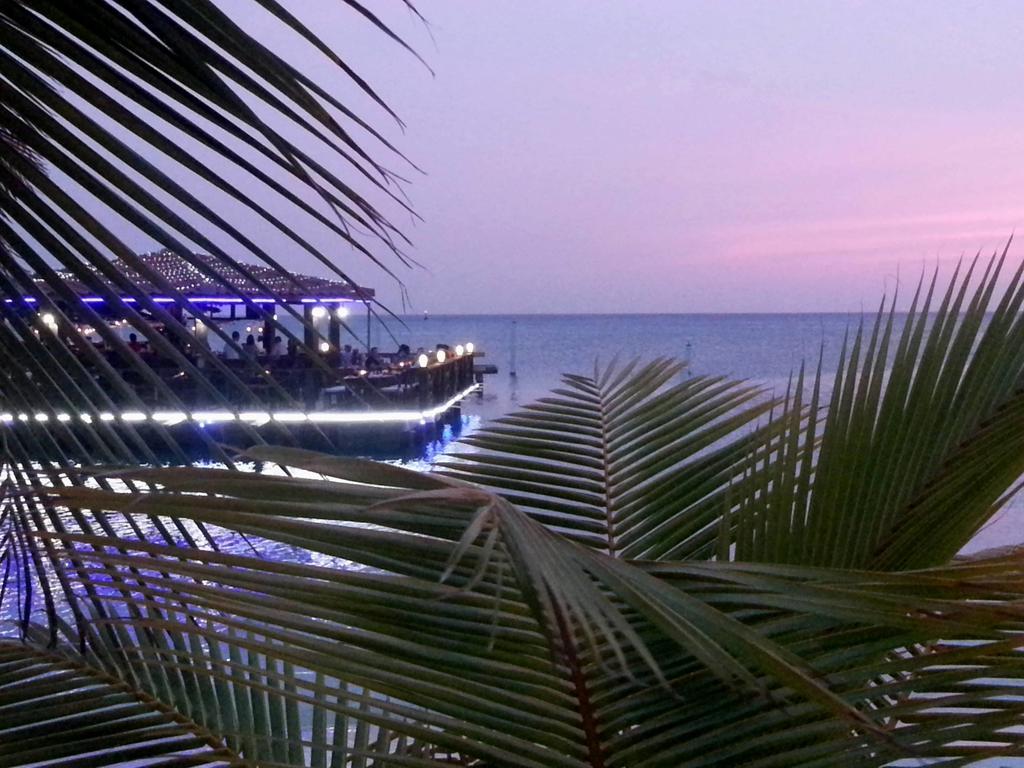 Aruba Surfside Marina Ξενοδοχείο Οράνχεσταντ Εξωτερικό φωτογραφία