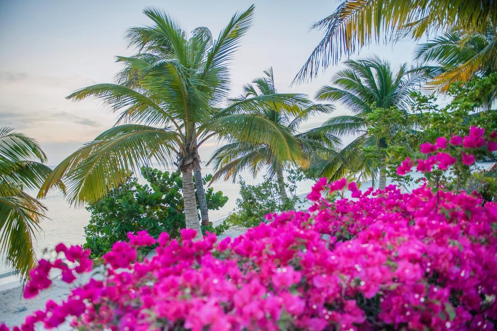 Aruba Surfside Marina Ξενοδοχείο Οράνχεσταντ Εξωτερικό φωτογραφία