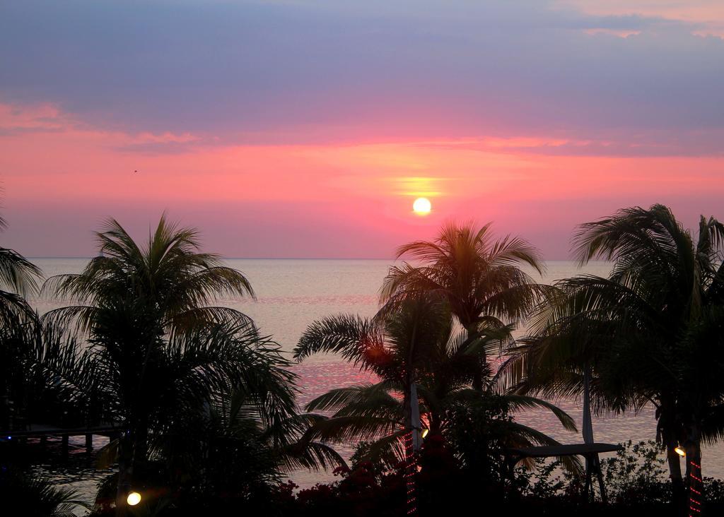 Aruba Surfside Marina Ξενοδοχείο Οράνχεσταντ Εξωτερικό φωτογραφία