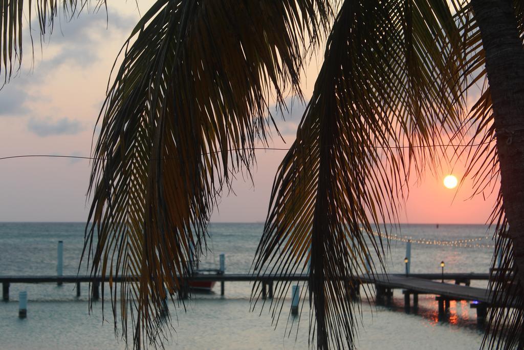 Aruba Surfside Marina Ξενοδοχείο Οράνχεσταντ Εξωτερικό φωτογραφία
