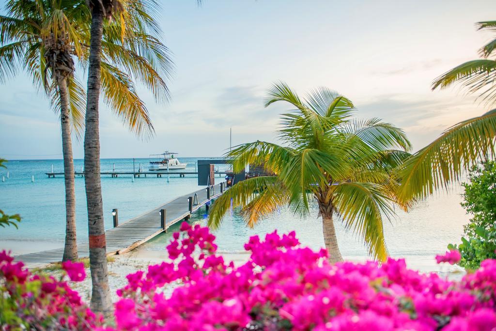 Aruba Surfside Marina Ξενοδοχείο Οράνχεσταντ Εξωτερικό φωτογραφία